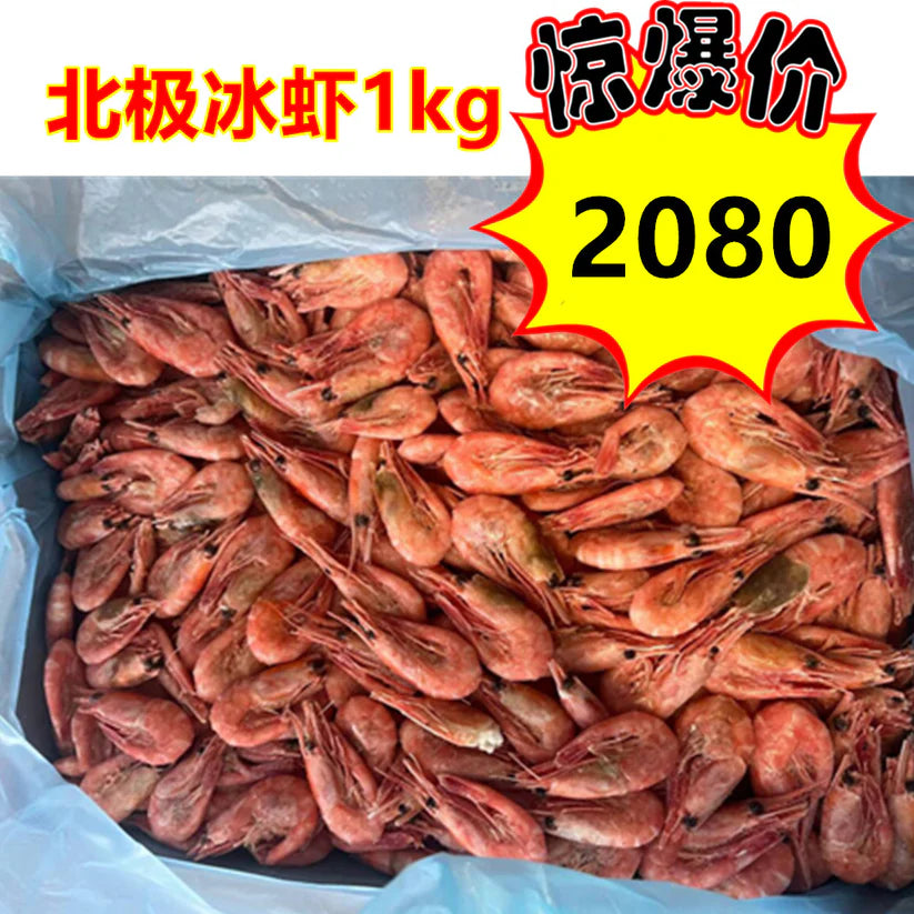 北极熊 冰虾 1kg 甜虾 带虾籽哦 北極氷蝦 北极甜蝦 籽蝦 丹麦産