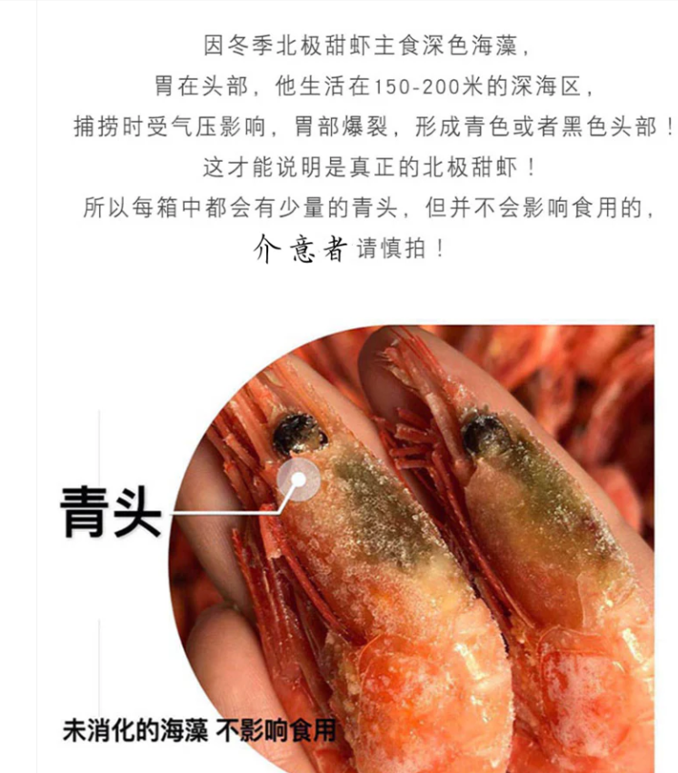 北极熊 冰虾 1kg 甜虾 带虾籽哦 北極氷蝦 北极甜蝦 籽蝦 丹麦産