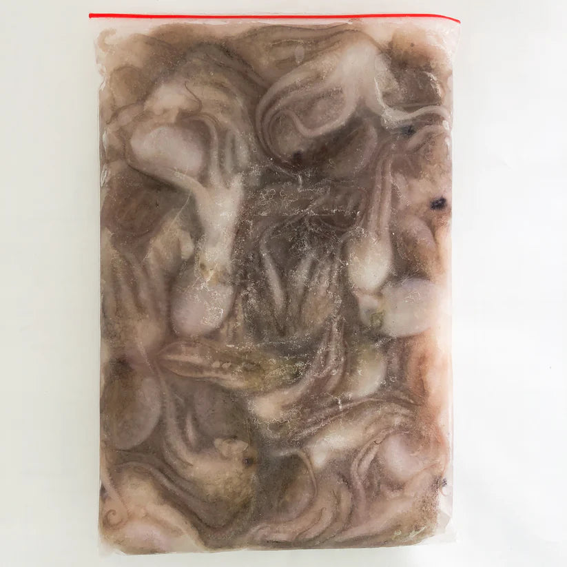 小章鱼 1KG 小章魚 八爪鱼