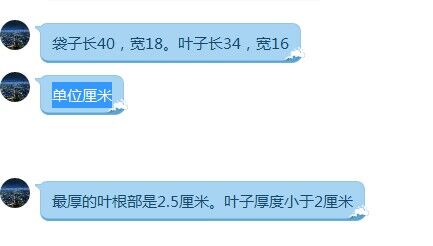 粽子叶 100枚入 大号粽子叶