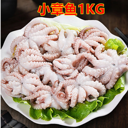 小章鱼  1KG   小章魚  八爪鱼