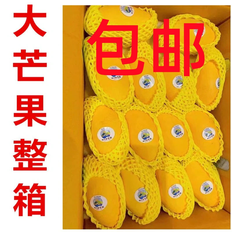 A预约  芒果 泰国金芒  一箱4.5公斤  大果12-14个    3.30号通过到日本的芒果
