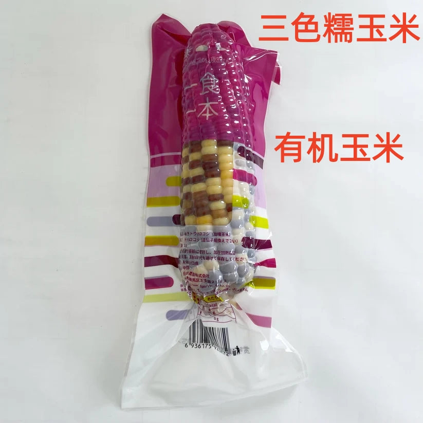 有机彩糯玉米 1个 熟  天勤