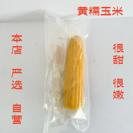 華華 黄糯玉米 1個入  熟的