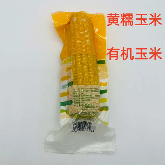 有机黄糯玉米 熟  甜糯口 好吃哦