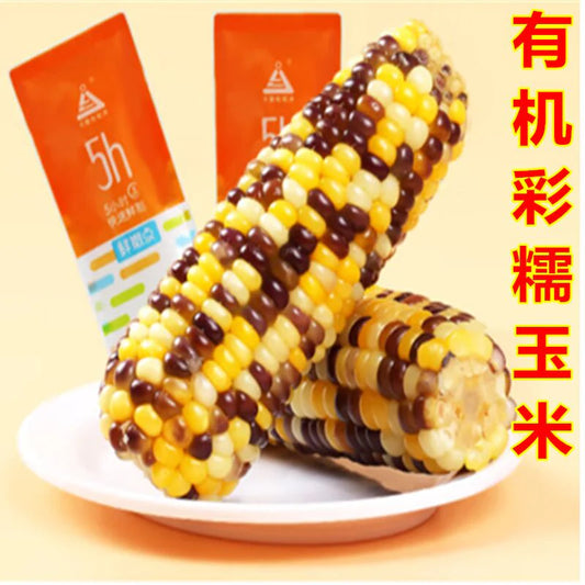 有机彩糯玉米 1個入 熟  天勤