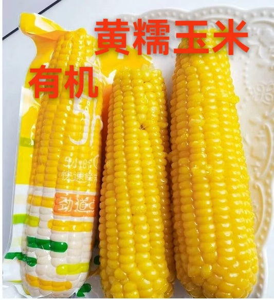 有机黄糯玉米 1個入  熟  天勤 甜糯口 好吃哦