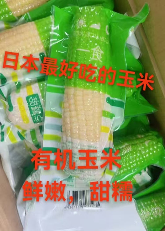 有机白糯玉米  1个入 熟  特价 鲜嫩甜糯  最新通关到日本的玉米  颗粒饱满  天勤
