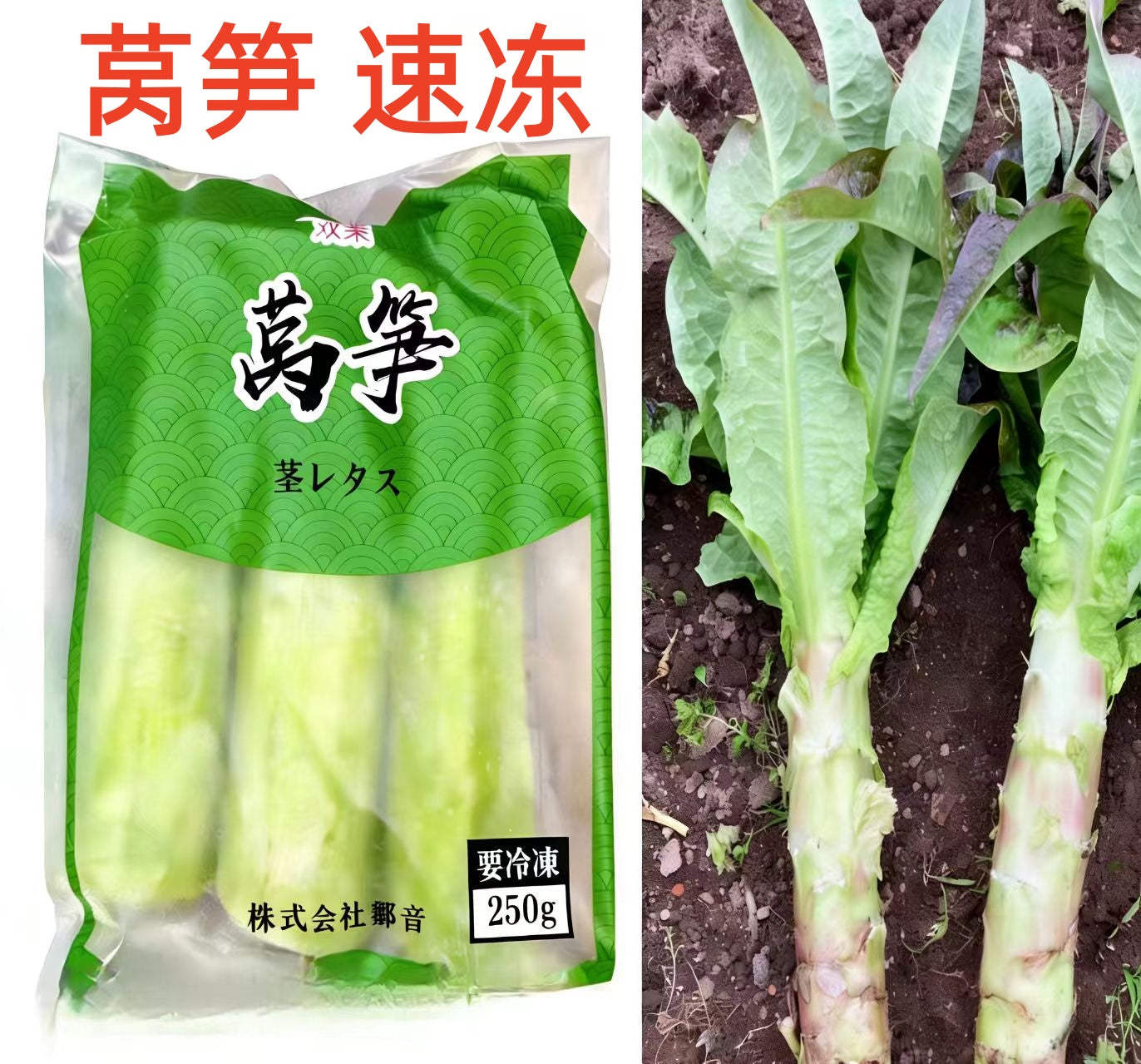 莴笋 250g 新鲜速冻  吃法：在第二张图