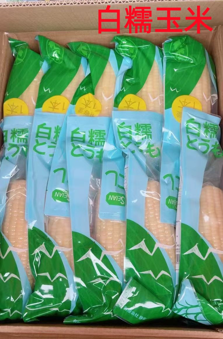 静安  白糯玉米 1个入 熟  中国东北产