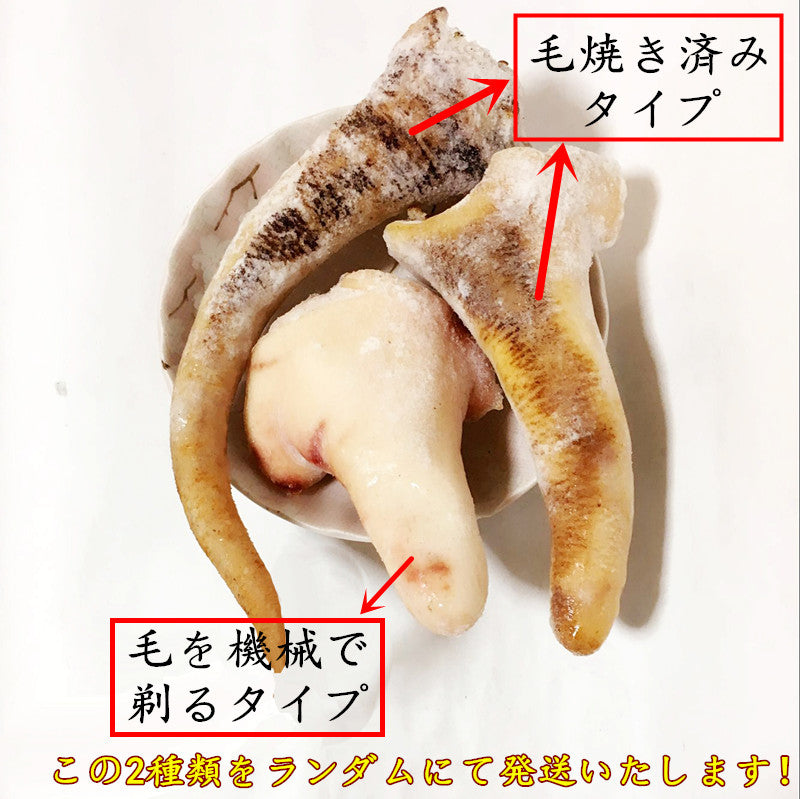 生豚尾500g 日本産 冷凍品